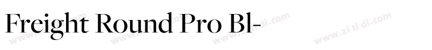 Freight Round Pro Bl字体转换